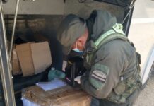 Gendarmería decomisó más de 17 kilos de marihuana durante controles a colectivos en Tucumán que habían salido desde Salta