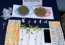 Golpazo al narcomenudeo en Metán: cayo tras el sigilo de las denuncias anónimas