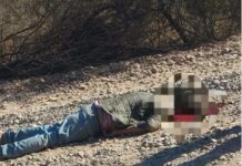 Hallaron el cuerpo sin vida de un hombre sobre la Ruta Provincial 53