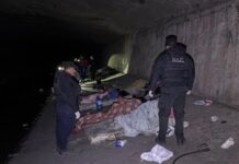 Operativo madrugada: desalojan y desmantelan “aguantadero” en el canal Yrigoyen