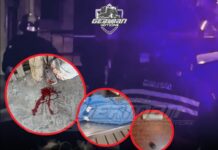 Investigan el accionar de la Policía tras un operativo que terminó con un perro muerto por un disparo