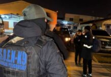 4 celulares, 5 allanamientos y casi 25 kilos de droga: cayó una pareja sospechada de distribuir cocaína y marihuana en Cafayate
