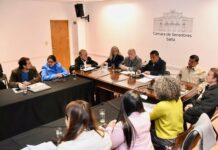 El grito de los sin voz retumba en el Senado: la marea proteccionista impulsa un freno histórico al maltrato animal