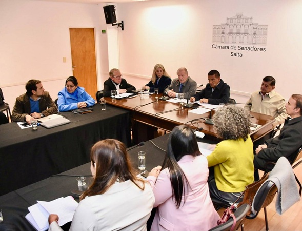 senado con proteccionistas