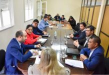 El veneno detrás de la pantalla: el Senado busca frenar la ola de ciberacoso en las aulas salteñas