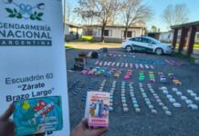 La trampa del “humo mágico”: Cayó en Zárate un cargamento de vapeadores cargados con resina de marihuana y hongos alucinógenos